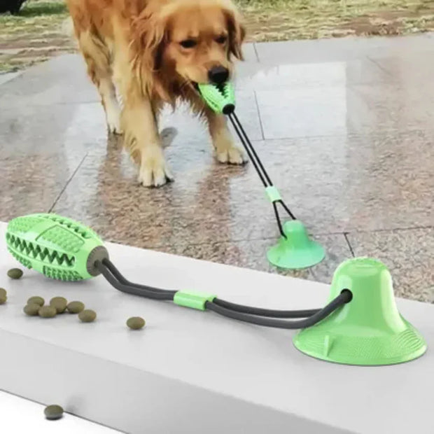 Interactive Suction Cup Dog Toy